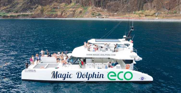 Funchal: Tour de Catamarã Observação de Golfinhos e Baleias