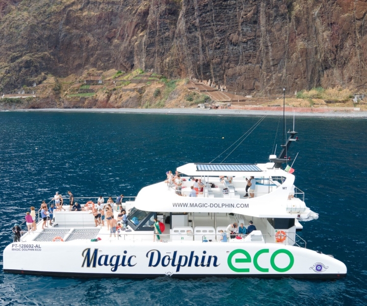 Funchal : croisière d'observation des cétacés en catamaran à Madère