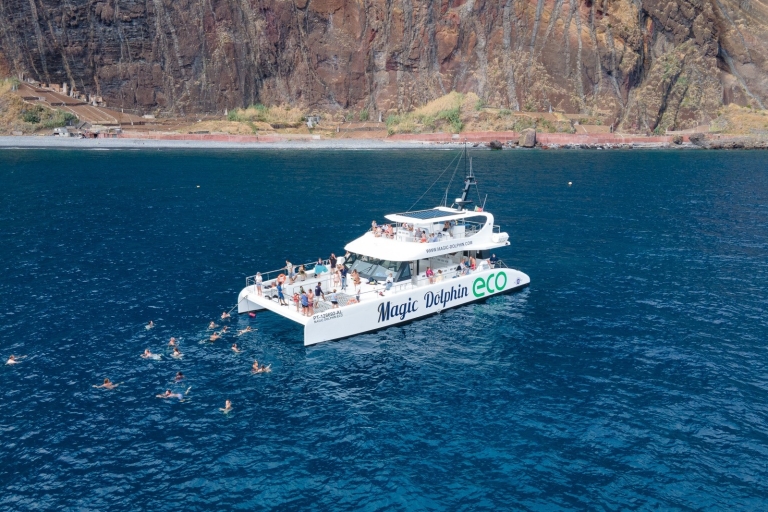 Desde Funchal: crucero en catamarán para avistamiento de delfines y ballenas