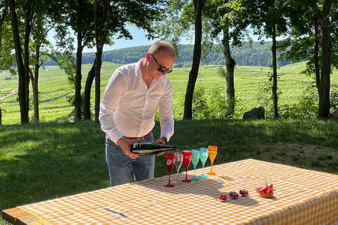 Champagne: Private Tour of Veuve Clicquot, Moët & Ruinart