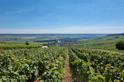 Champagne: Private Tour of Veuve Clicquot, Moët & Ruinart
