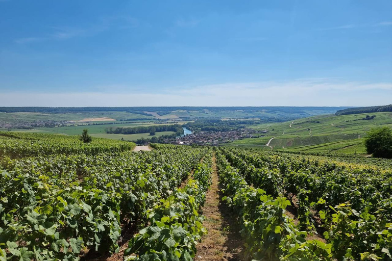 Champagne: Private Tour of Veuve Clicquot, Moët & Ruinart