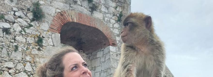 Explorez Gibraltar avec un guide privé depuis Malaga.
