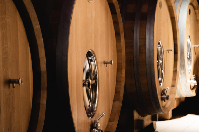 Winery tour and wine tasting