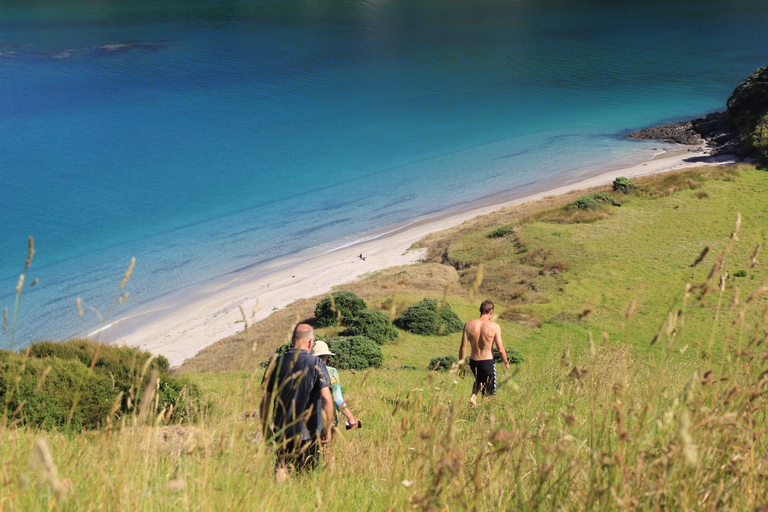 Bay of Islands: Czarter katamaranu żaglowego z lunchem