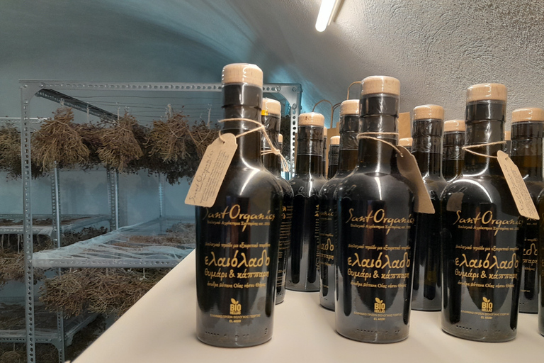 圣托里尼：有机农场私人农业教育之旅圣托里尼岛：私人农业教育参观有机农场