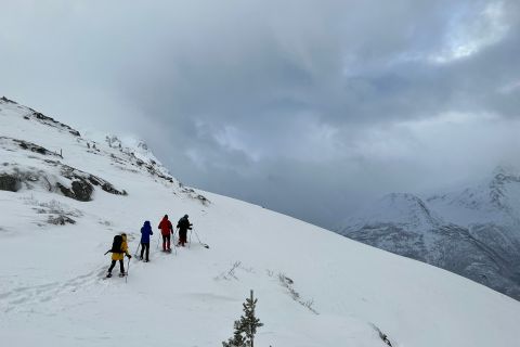 Åndalsnes: Nesaksla Snowshoeing Tour with Gondola Ticket