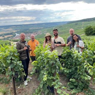 Fra Paris: Small-Group Champagne Tour med 3-retters frokost