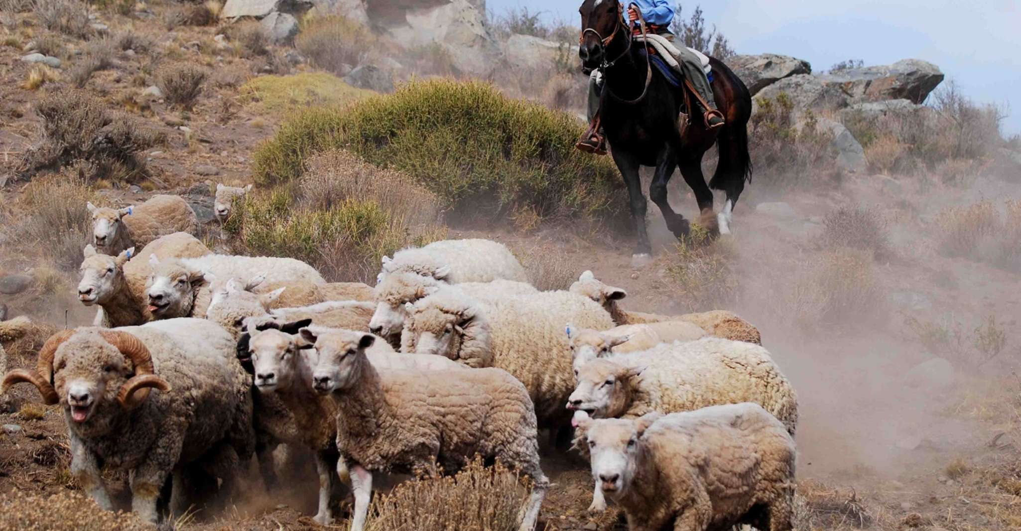 El Calafate, Estancia 25 de Mayo Tour con cena e trasferimento - Hizvo