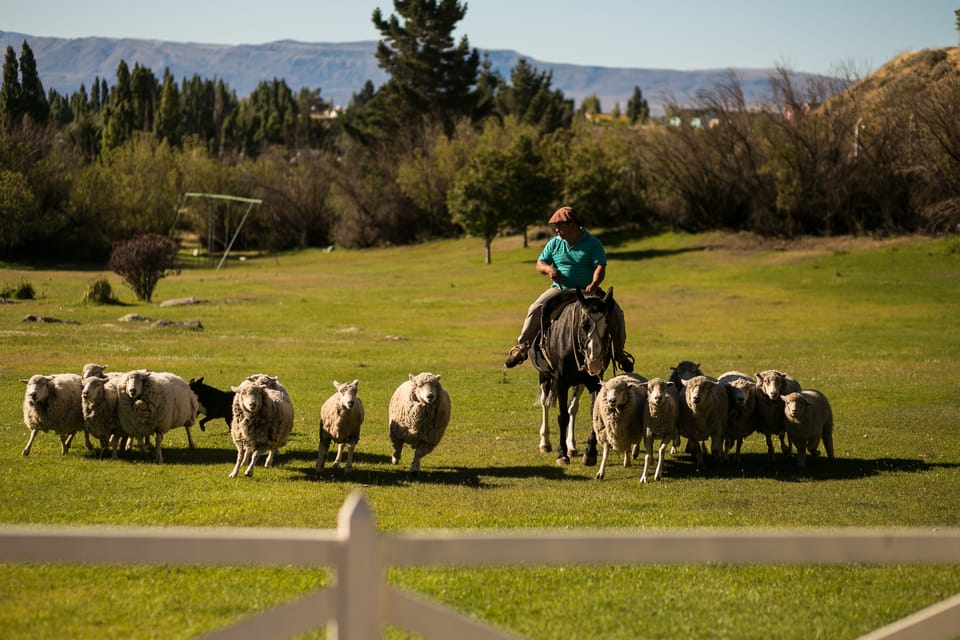 El Calafate, Estancia 25 de Mayo Tour con cena e trasferimento - Hizvo