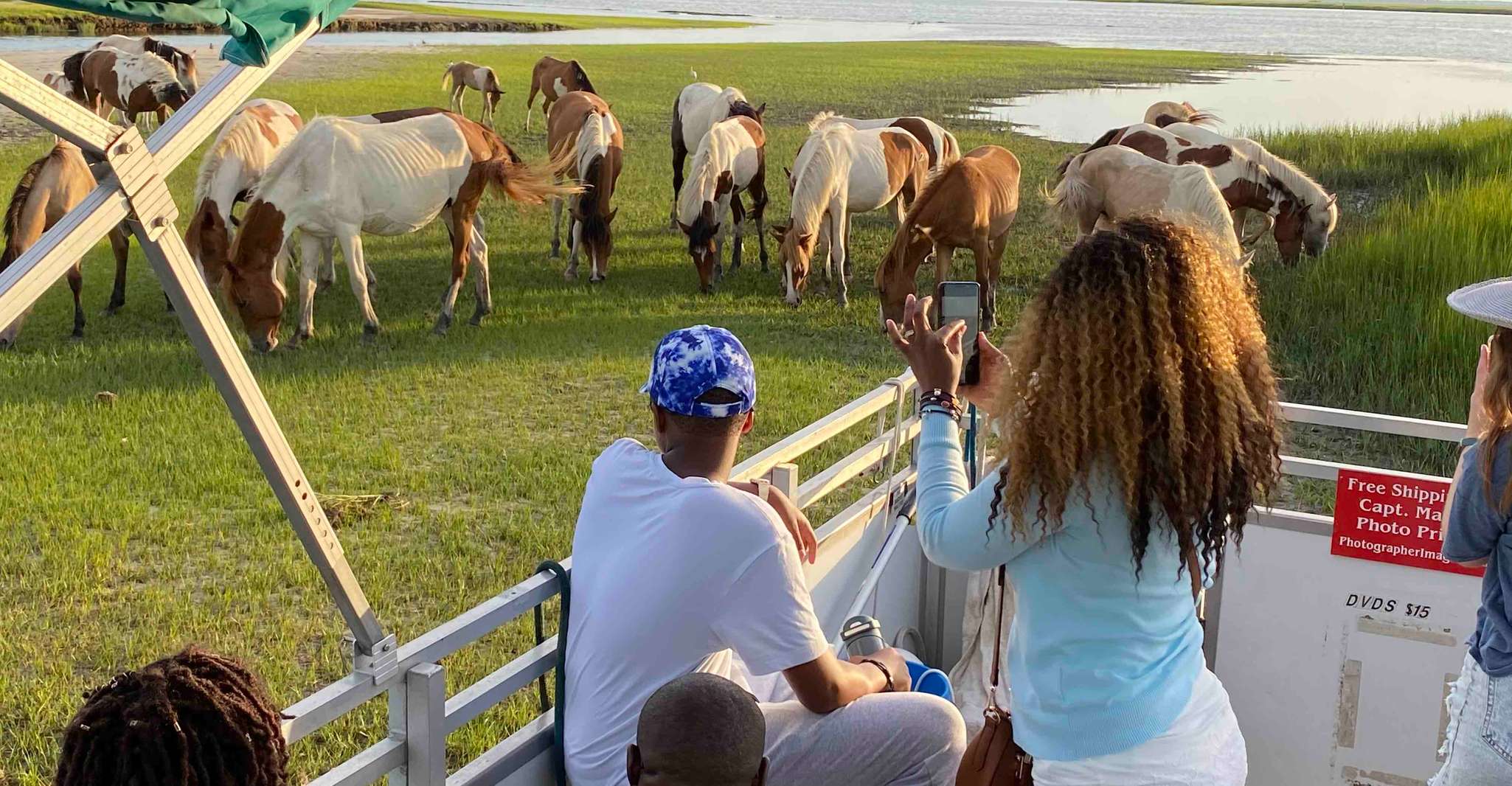 From Chincoteague Island, Assateague Island Boat Tour - Housity