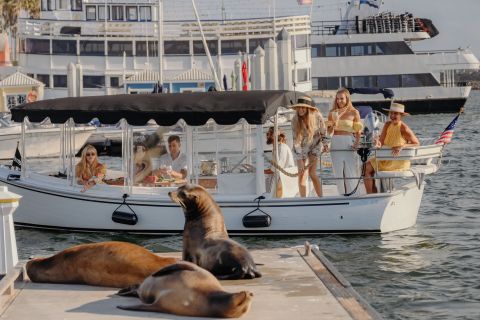Marina del Rey: crociera in barca di lusso con vino e formaggio