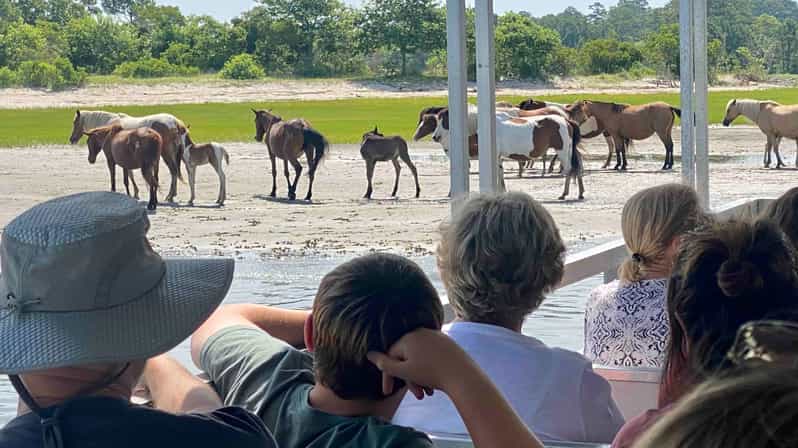 Colagem de mídia