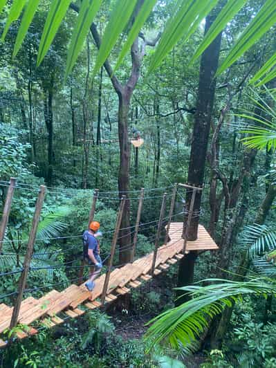 daintree day trip from port douglas