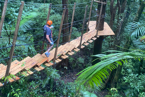 Port Douglas: tyrolienne et croisière dans le parc national de Daintree