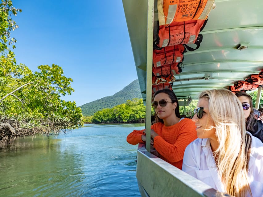 Port Douglas Daintree National Park Ziplining & Cruise GetYourGuide