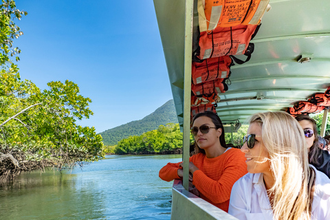 Port Douglas: tyrolienne et croisière dans le parc national de Daintree