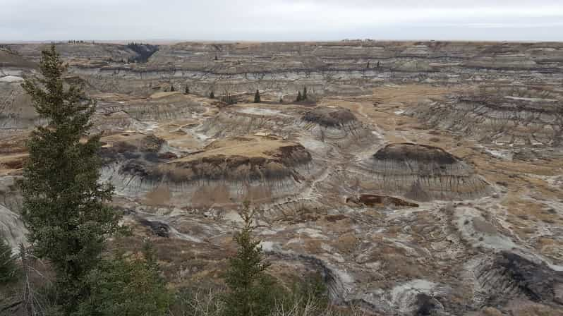 calgary badlands tour