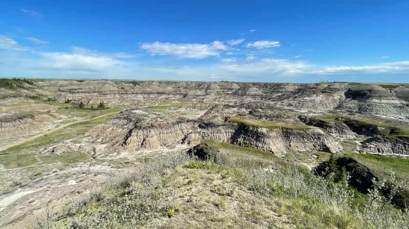 calgary badlands tour