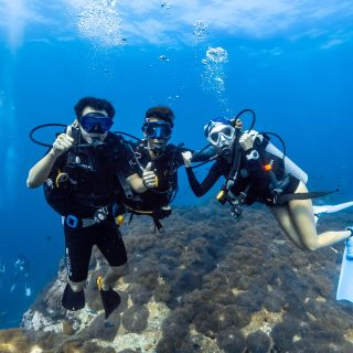 Ko Tao: Diving Theory Basic Class with 2 Ocean Dives
