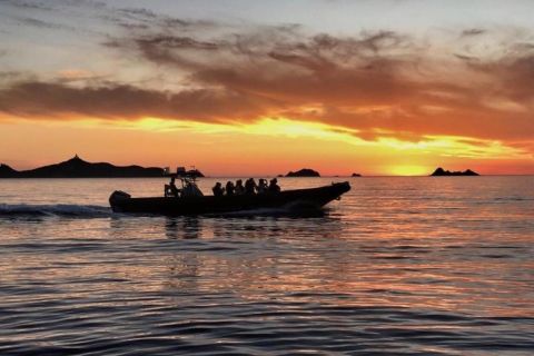 Från Ajaccio eller Porticcio: Solnedgångstur till Sanguinairesöarna
