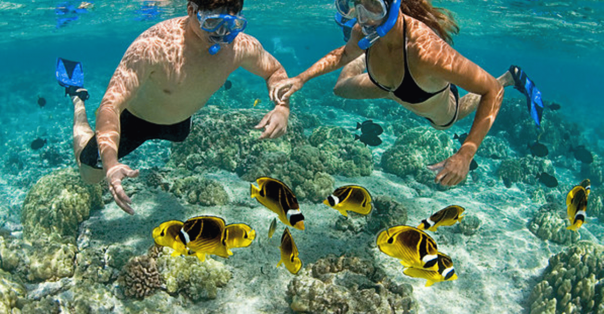 Suitetrails - From George Town, Grand Cayman Seven Mile Beach Trip