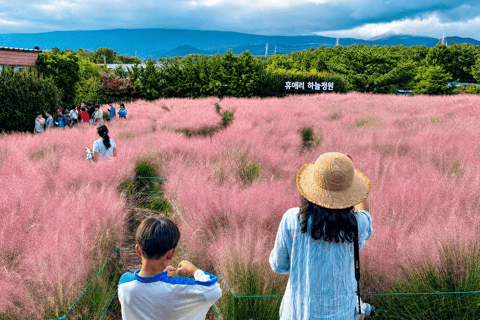 Jeju 2-Day: East & Southwest Highlights with Seasonal Flowers - Image 2