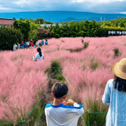 Jeju 2-Day: East & Southwest Highlights with Seasonal Flowers