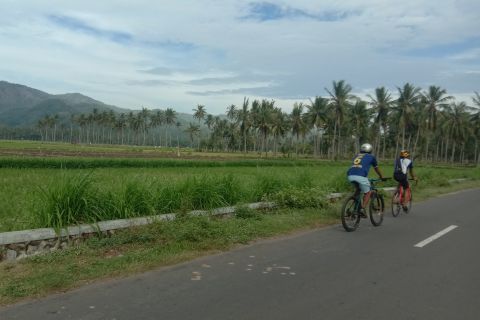 Lombok: Excursión de medio día en bicicleta por la ciudad y la campiña de Pengsong