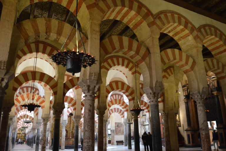 Córdoba: recorrido a pie por los monumentos históricos de la ciudad de Córdoba