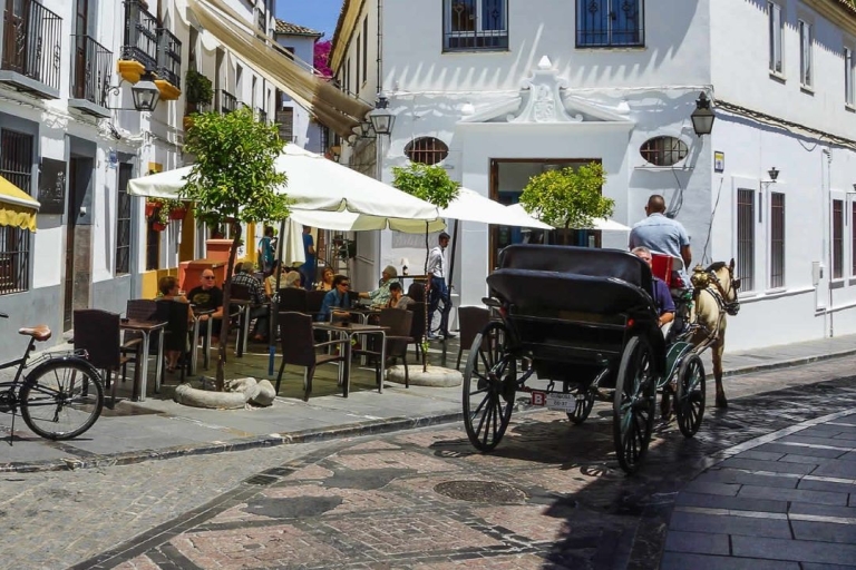 Córdoba: Historische Denkmäler von Córdoba Stadtrundgang