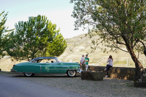 Von Porto aus: Private Douro-Weinbautour, Kreuzfahrt und Mittagessen