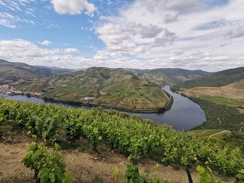 Fr N Porto Privat Douro Winery Tour Kryssning Och Lunch Getyourguide