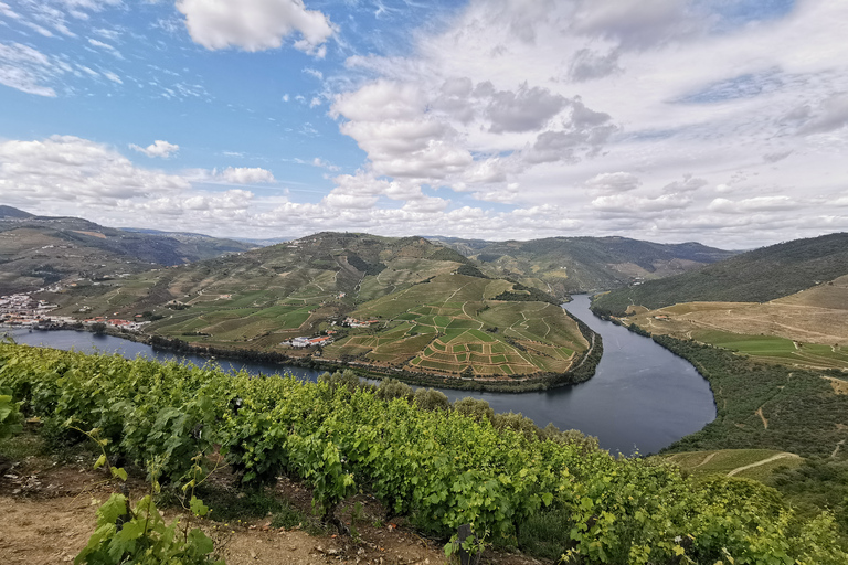 From Porto: Private Douro Winery Tour, Cruise, and Lunch