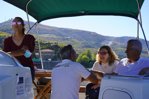 From Porto: Private Douro Winery Tour, Cruise, and Lunch