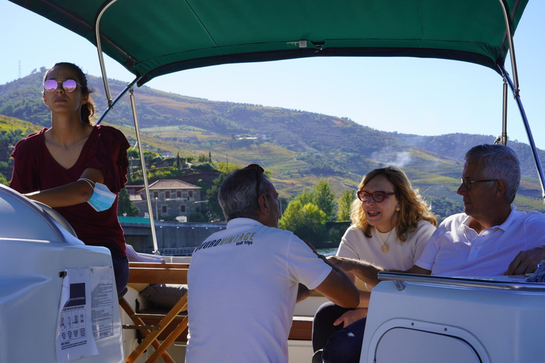 From Porto: Private Douro Winery Tour, Cruise, and Lunch