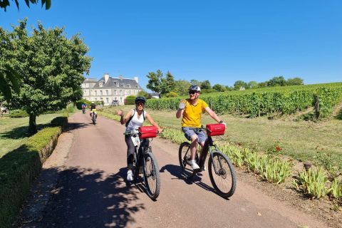 From Saumur: Loire Valley Private 2-Day Wine Cycling Trip