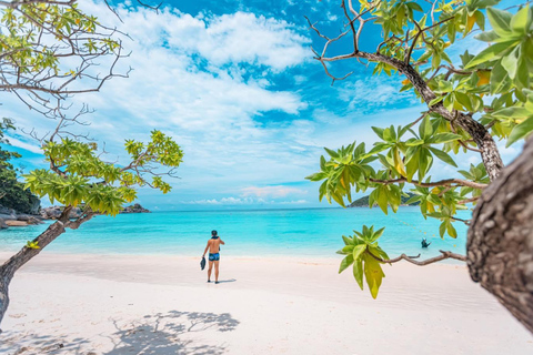 Phuket/Khaolak: Viagem de catamarã de alta velocidade às Ilhas Similan