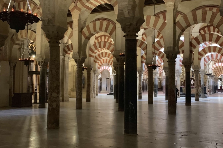Mosque-Cathedral of Cordoba: Entry Ticket and Guided Tour