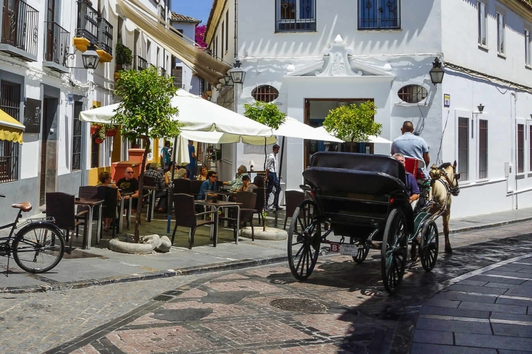 Córdoba: Mosque, Synagogue, and Jewish Quarter Walking Tour