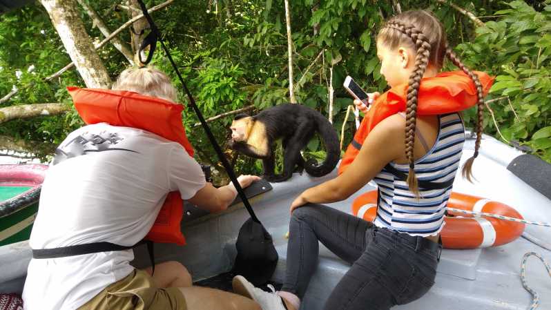 Ciutat de Panamà: excursió en vaixell a l'illa dels micos