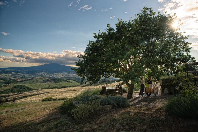 Visit Val d'Orcia: Magical 3-Course Dinner under the Oak Tree in Tuscany