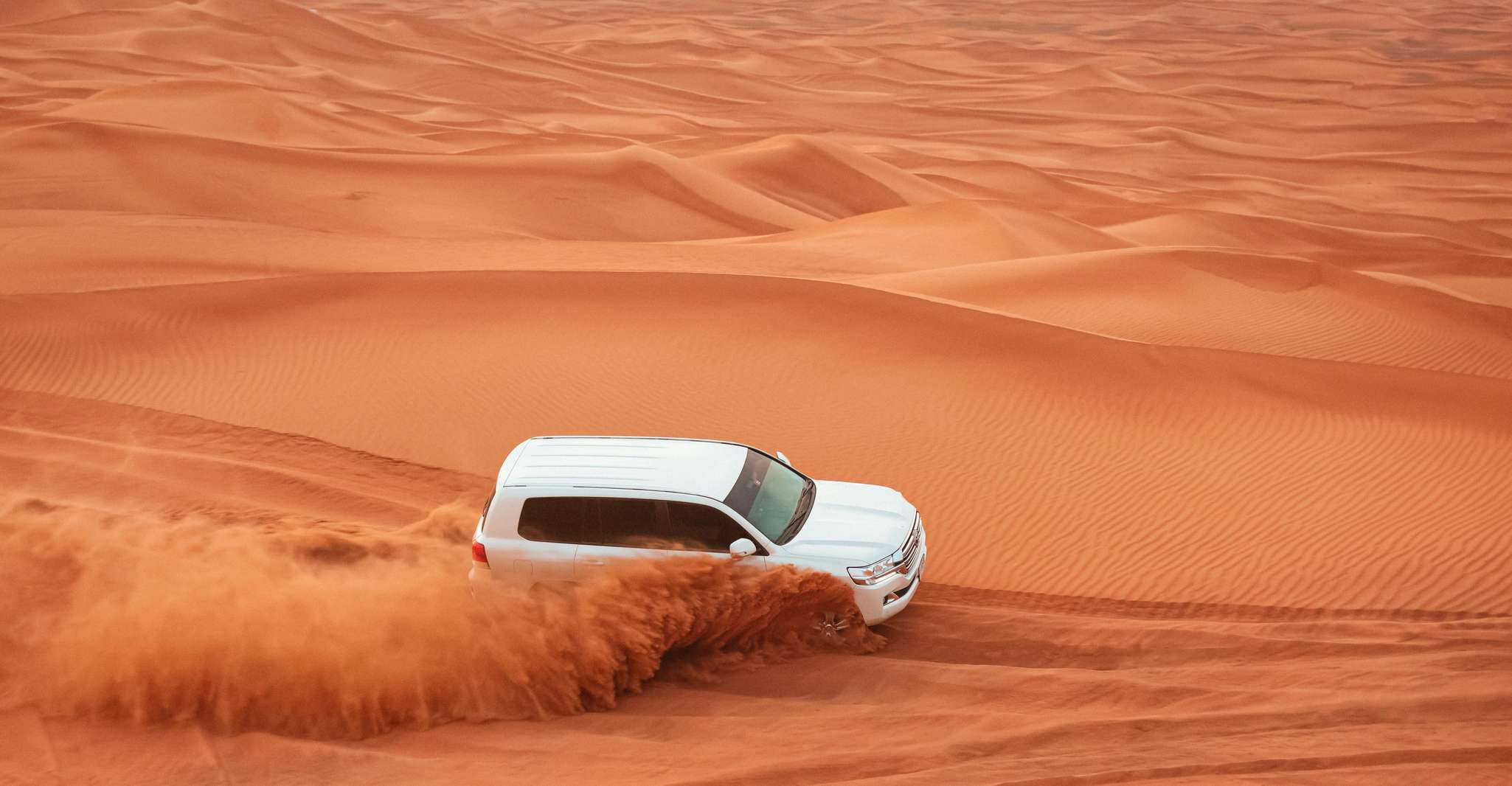 Doha: Desert Safari, Dune Bashing, Sandboarding, Camel Ride photo 4
