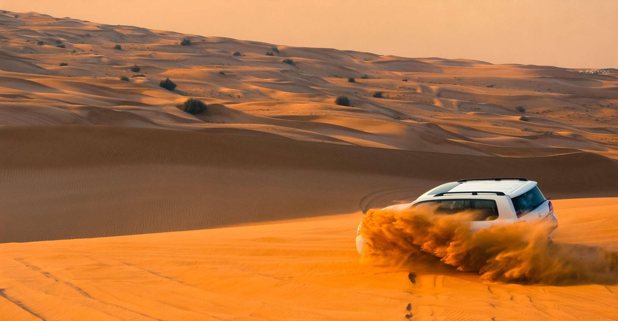 Doha: Desert Safari, Dune Bashing, Sandboarding, Camel Ride photo 7