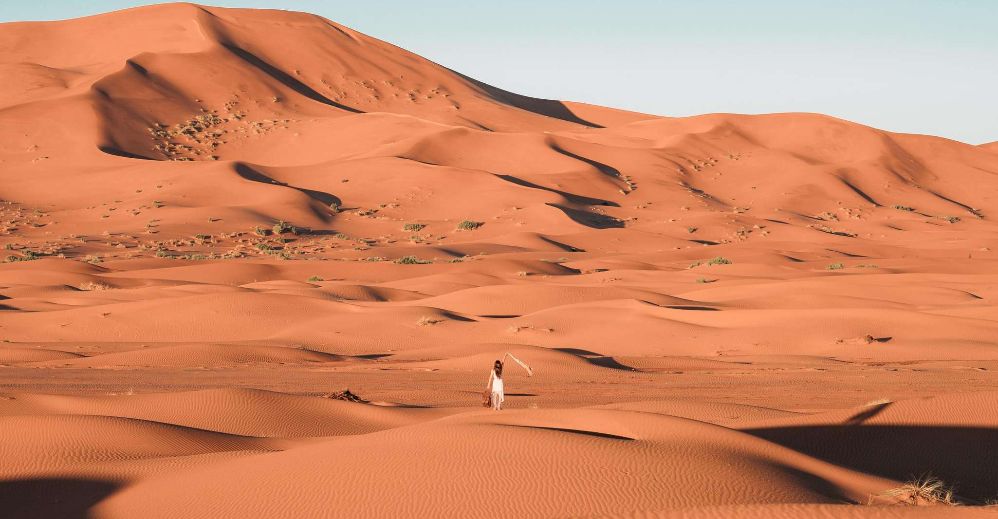 Doha: Desert Safari, Dune Bashing, Sandboarding, Camel Ride photo 6