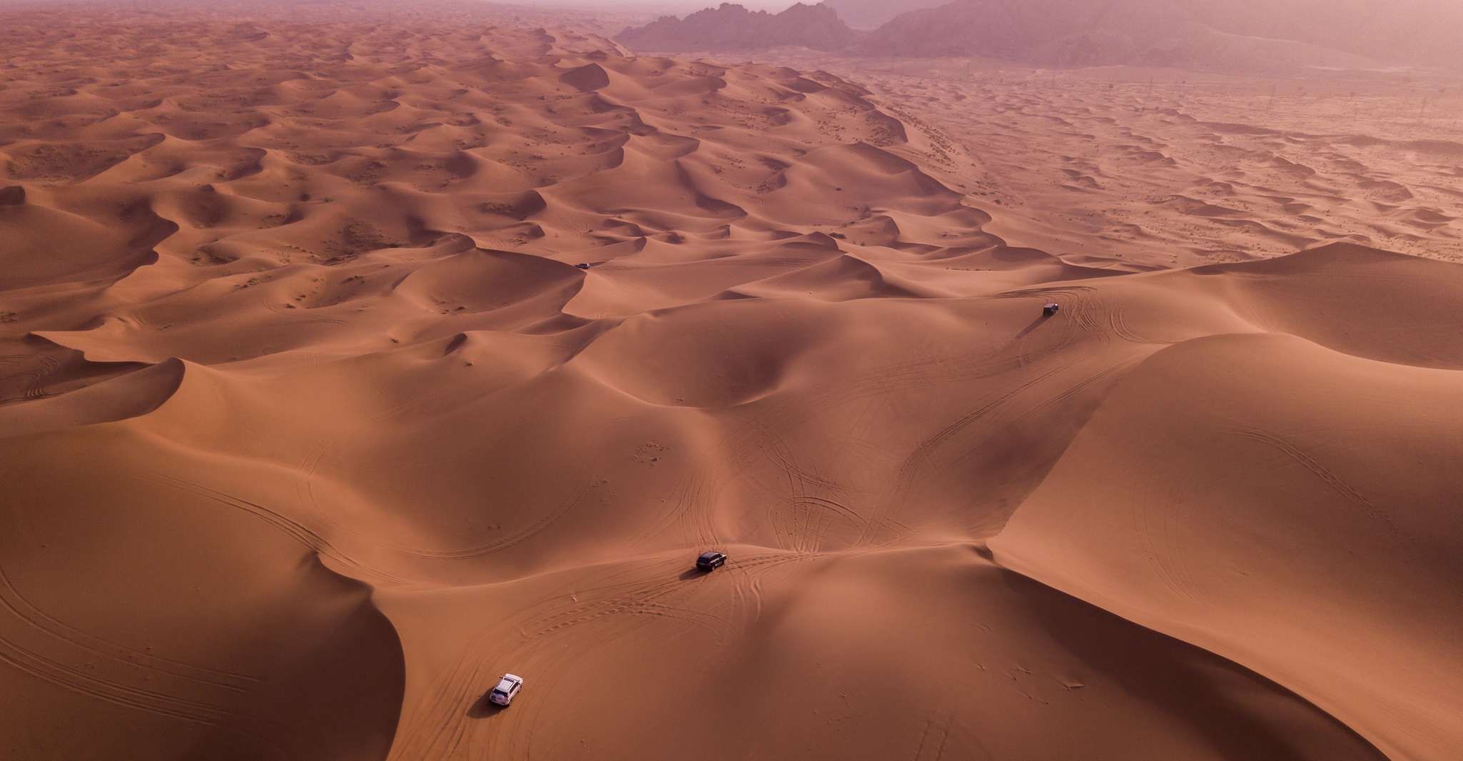Doha: Desert Safari, Dune Bashing, Sandboarding, Camel Ride photo 5