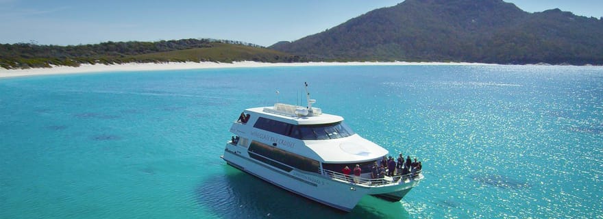 Coles Bay : Croisière pour adultes dans la baie de Wineglass avec déjeuner