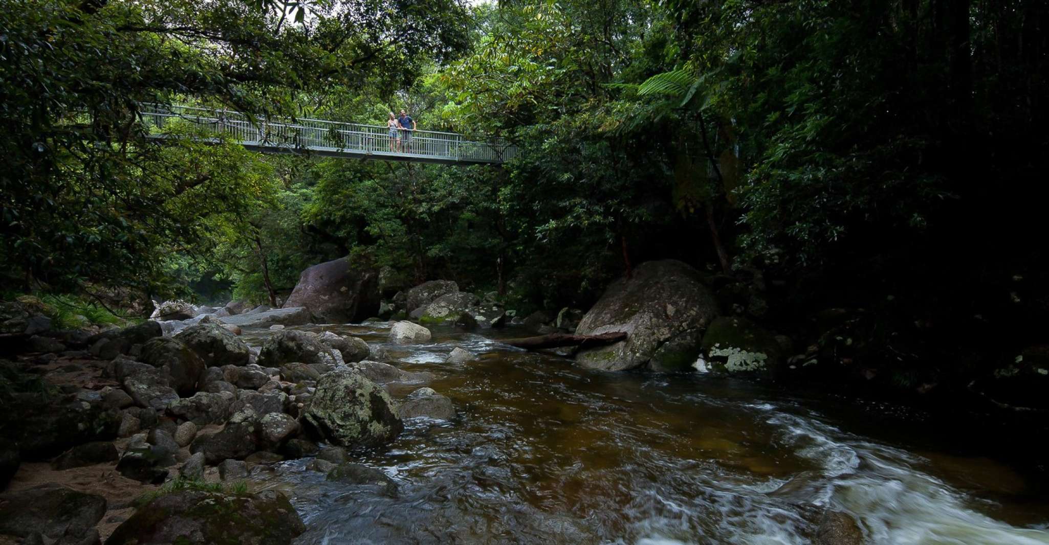 From Port Douglas, Daintree and Mossman Gorge Day Tour - Housity