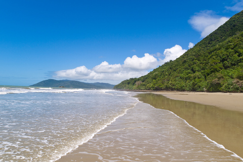 Daintree, Mossman Gorge, Cape Trib: Tour with Cruise Option Tour with Crocodile Cruise