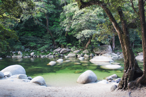 Von Port Douglas aus: Daintree und Mossman-Schlucht TagestourTour mit Krokodil-Kreuzfahrt